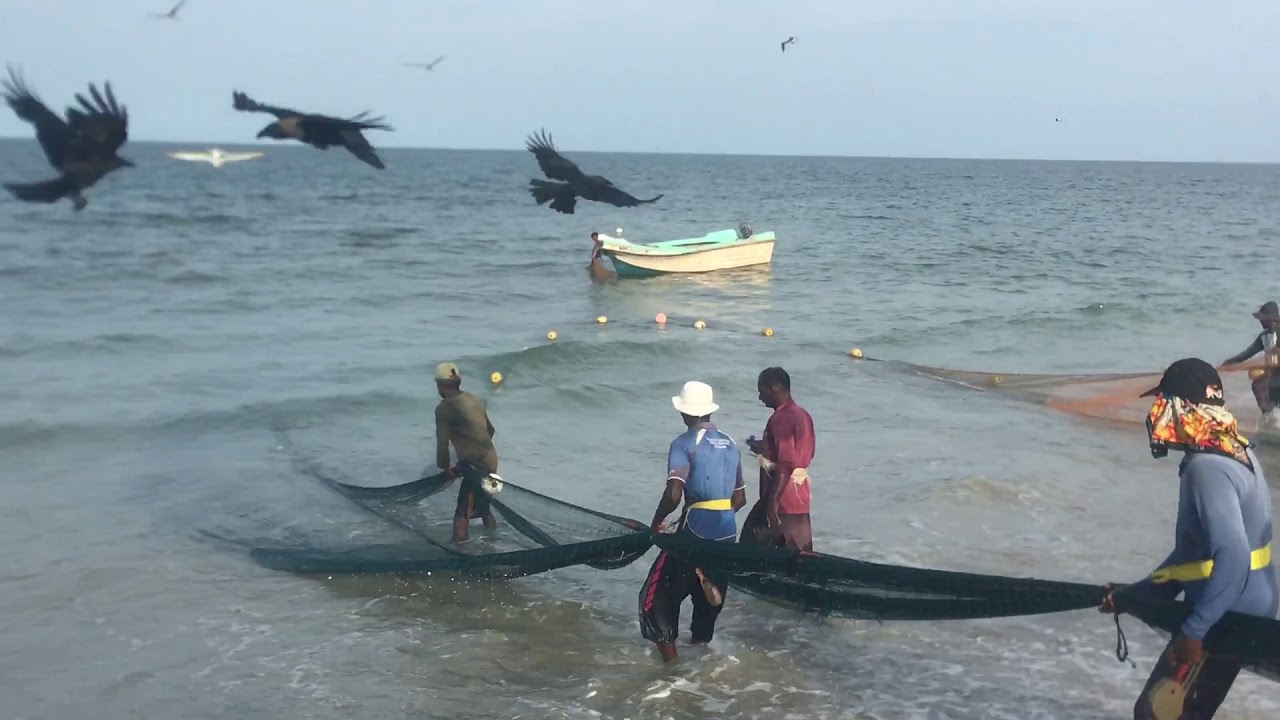 முல்லை மீனவர்கள் நாளை போராட்டம்